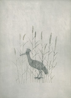 南桂子作品 鳥 1955年
